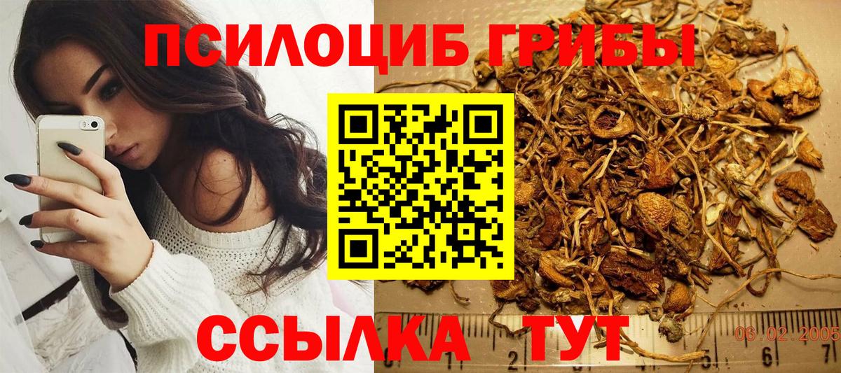 цена наркотик  Галлюциногенные грибы Psilocybine cubensis  Вход с VPN  Комсомольск-на-Амуре 
